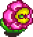 Lullabud