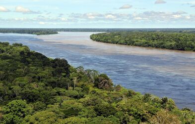Amazon-River