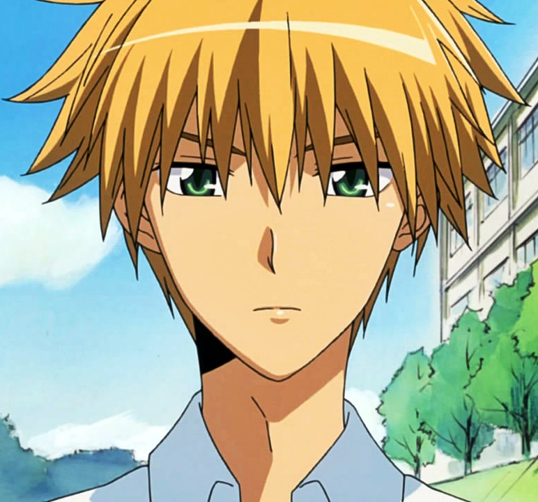 usui anime - kaichou wa maid sama personnage