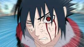 Sasuek taka