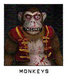 Monkeys