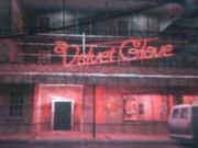 180px-Velvet glove