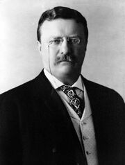 Theodore Roosevelt Large