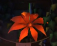 OrangeFlowerLMDM