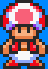 Toad