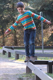 Balancing