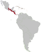 Nlca MAP