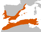 Imperiosith