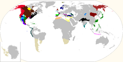 Mapa año 8 CVM(P)