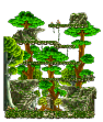 Monkey Forest III