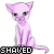Shaved avatar