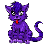 Chubs purple