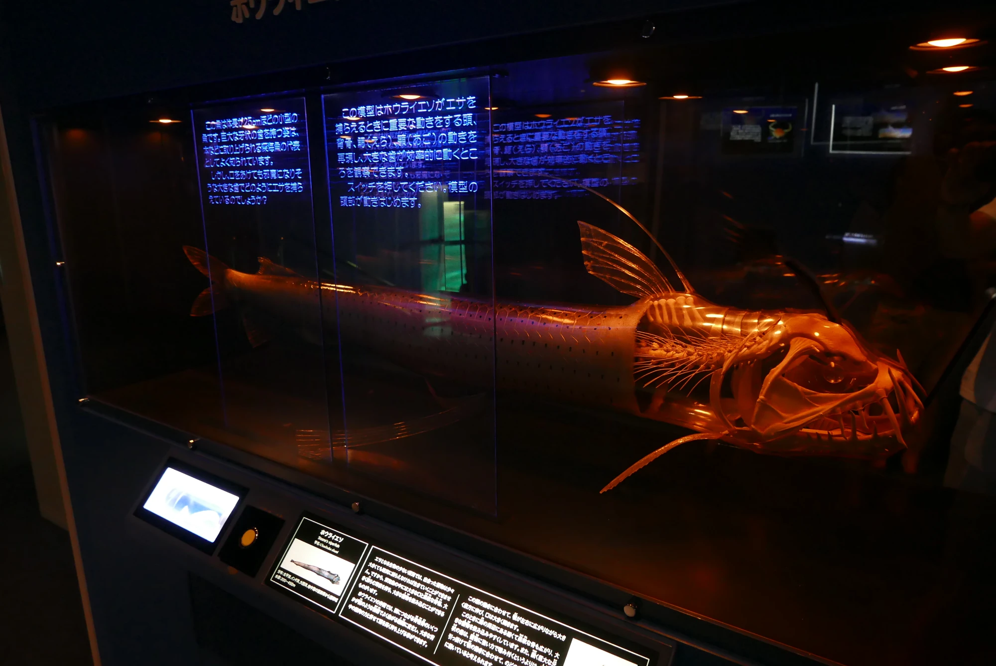 Viperfish Marine Wiki Fandom