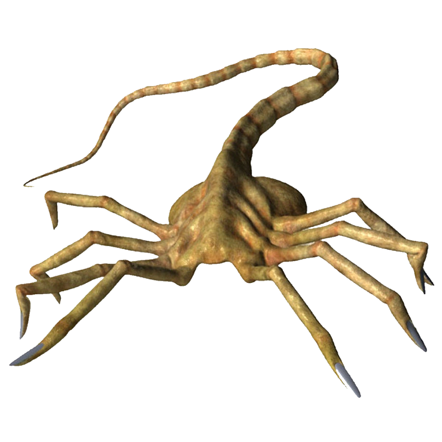 Imagen Facehugger png by manoluvd58hazw.png Mario Fanon Wiki
