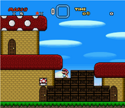 Toad town