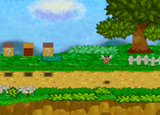 Caminogoomba
