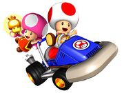 Toad y Toadette MKDD