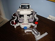 Rob gyromite