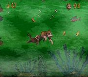 DKC Screenshot Giftiges Wasser
