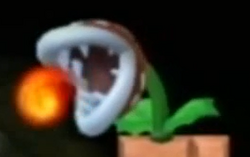 Big Venus Fire Trap