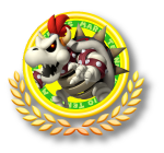 DryBowserMTO