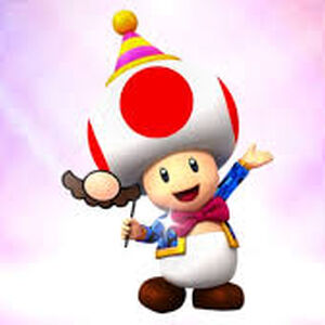 Toad Character Mariowiki Fandom