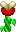 LierreNSMB