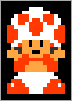 SMB Sprite Toad