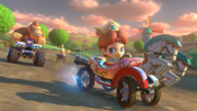 MK8 Screenshot Kuhmuh-Weide
