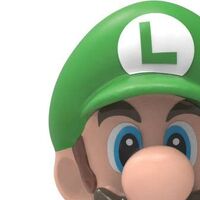 K Nex Mariowiki Fandom