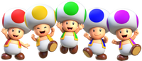 Toads SMR