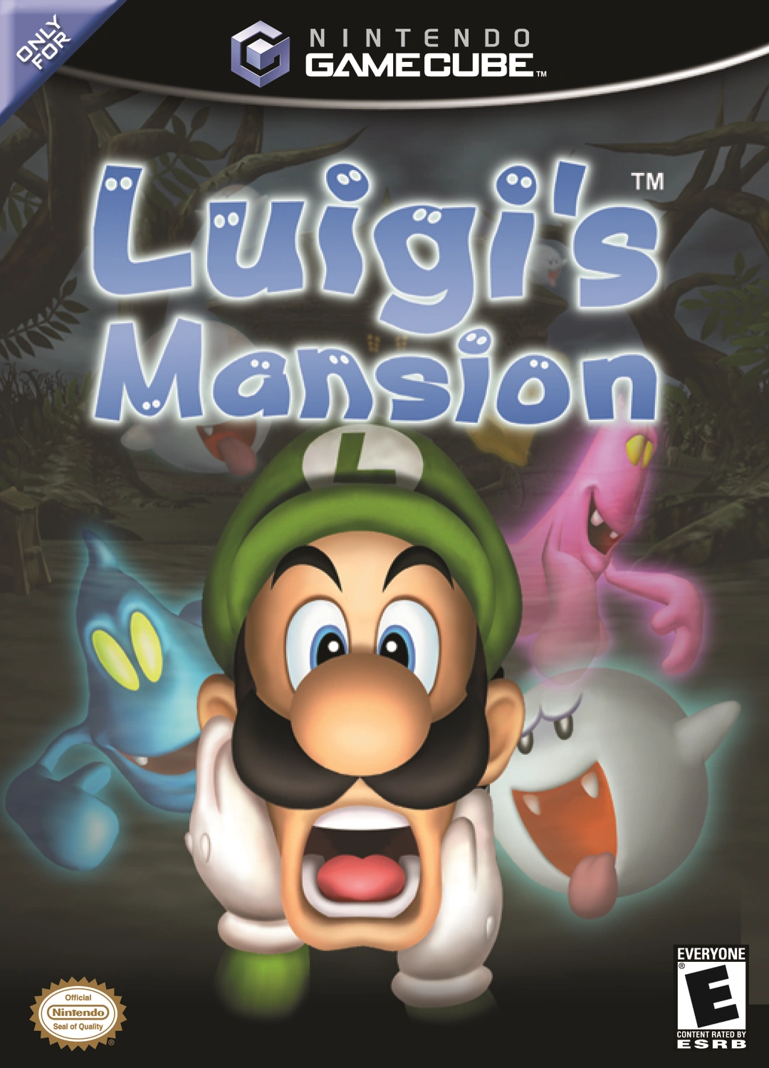 Luigi's Mansion (video game) MarioWiki FANDOM powered by Wikia