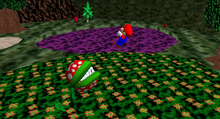 SwampyForest4