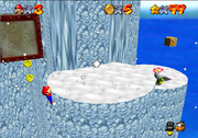 SnowSummit6