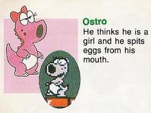 Birdo is a boy