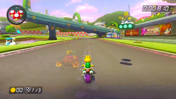 Mk8char4