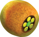 Sponge
