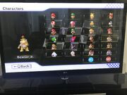 Mario Kart Wii Characters