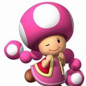 Toadette Mario Kart Wii Wiki Fandom