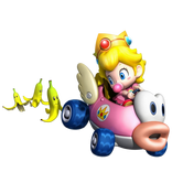 MKW Cheep Charger