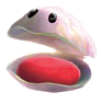 Clam
