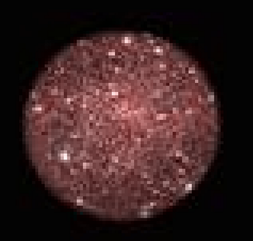 File:Blockyverse.png