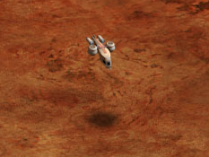 Hellion