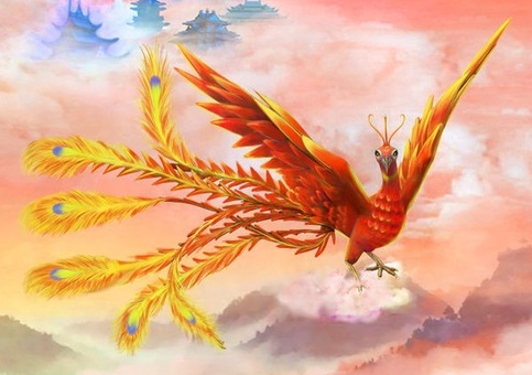 Burung Merah