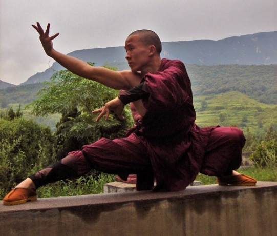 Kung Fu | Martial Arts Wiki | FANDOM powered by Wikia