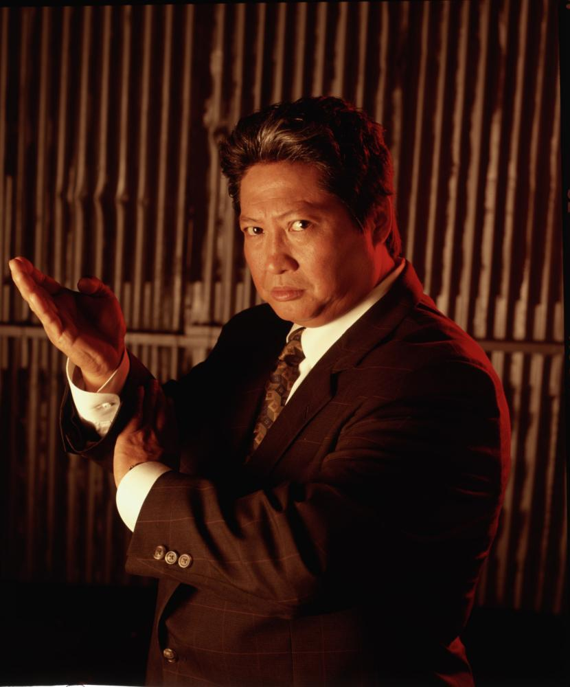 Sammo Hung Martial Law Wiki Fandom