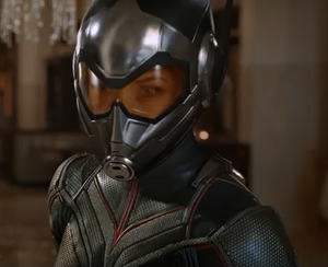 Wasp