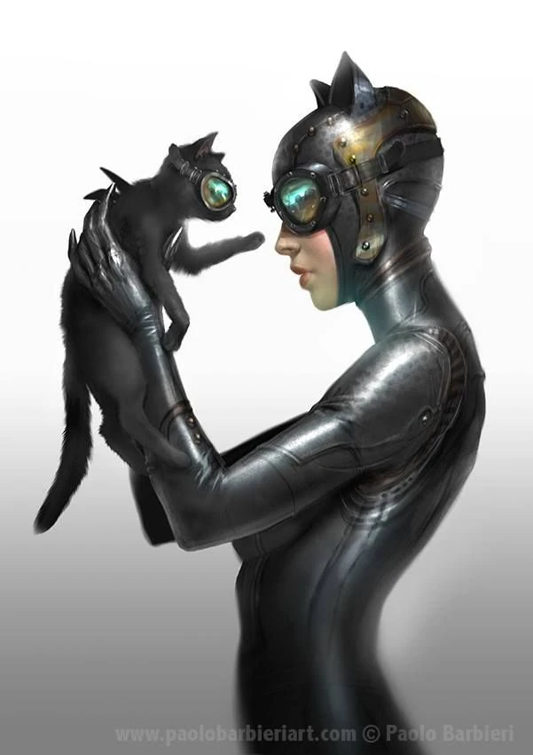 Catwoman Marvel & DC Crisis Of Infinite Brands (Fan Made Video Game