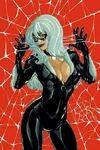 Black Cat Main Page Icon