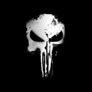 Punisher Series